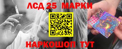 крисы Кулебаки