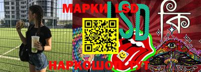 крисы Кулебаки