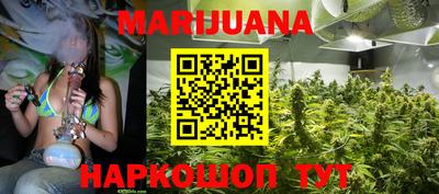 крисы Кулебаки