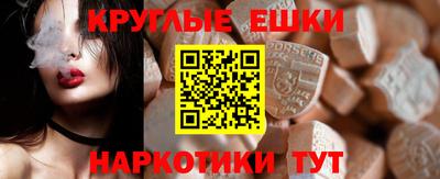 крисы Кулебаки