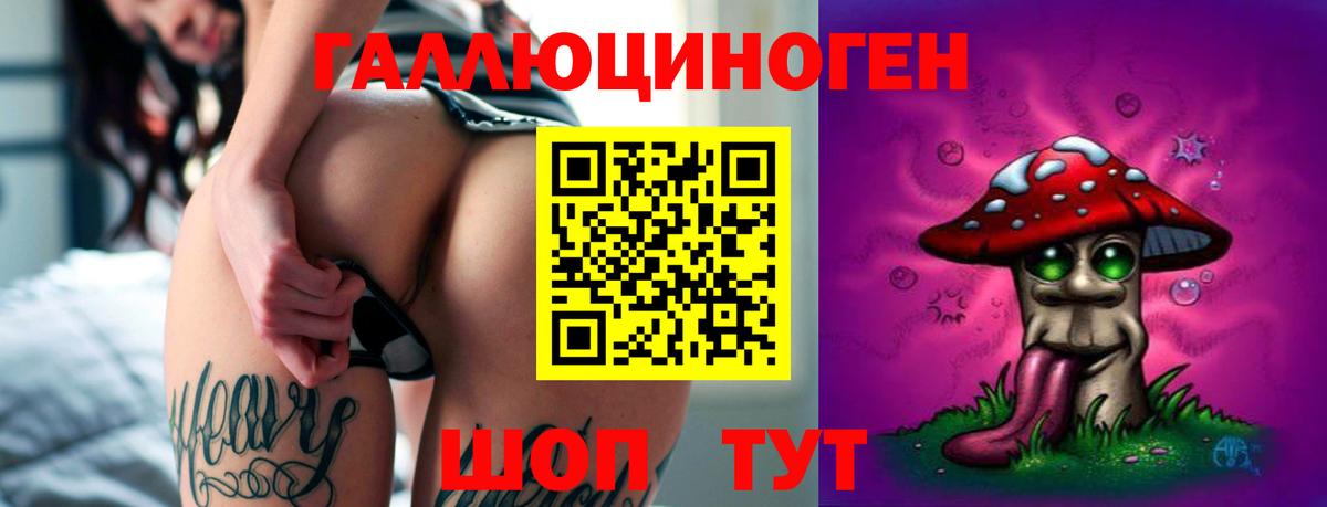Камень-на-Оби  Псилоцибиновые грибы Cubensis  Вход с VPN 